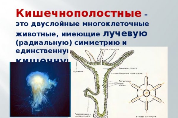 Блэк спрут не работает