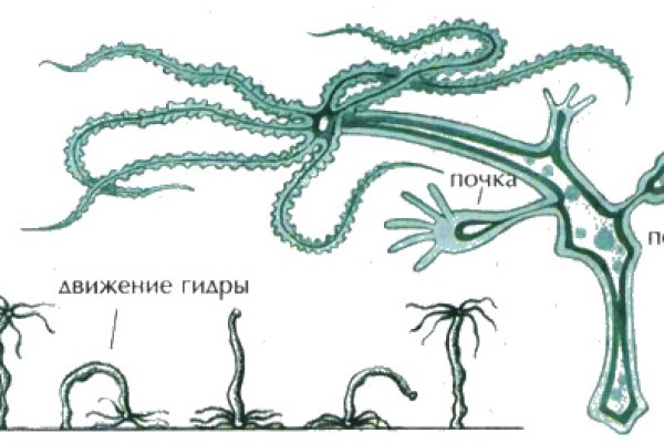 Bs gl ссылка на сайт blacksprut wiki