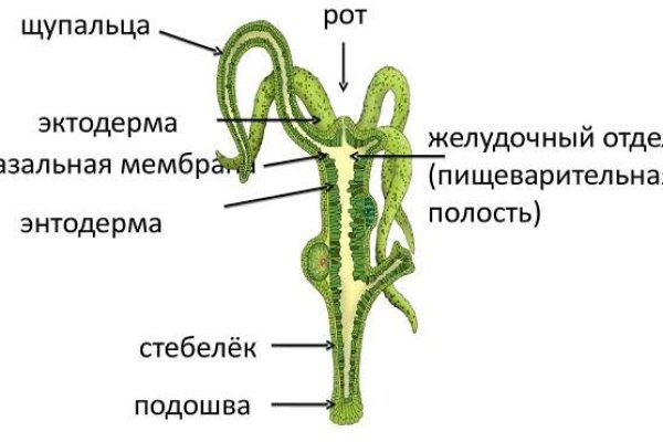 Ссылка на блекспрут blacksprut adress com